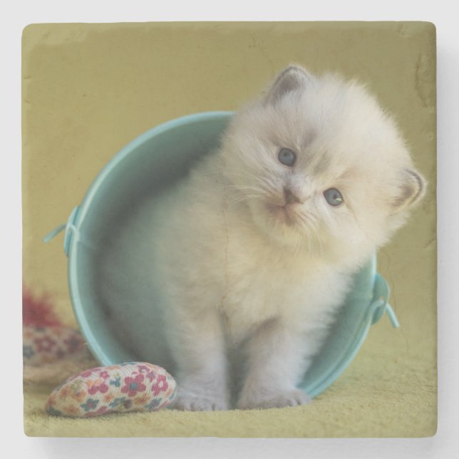 Little ball of fur stone coaster (Front)