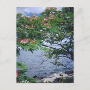 Little Bay Park, Queens, NY Postcard
