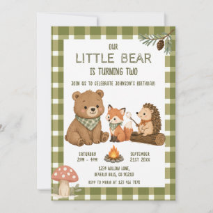 Little Bear Animals Green Gingham Birthday Invitation