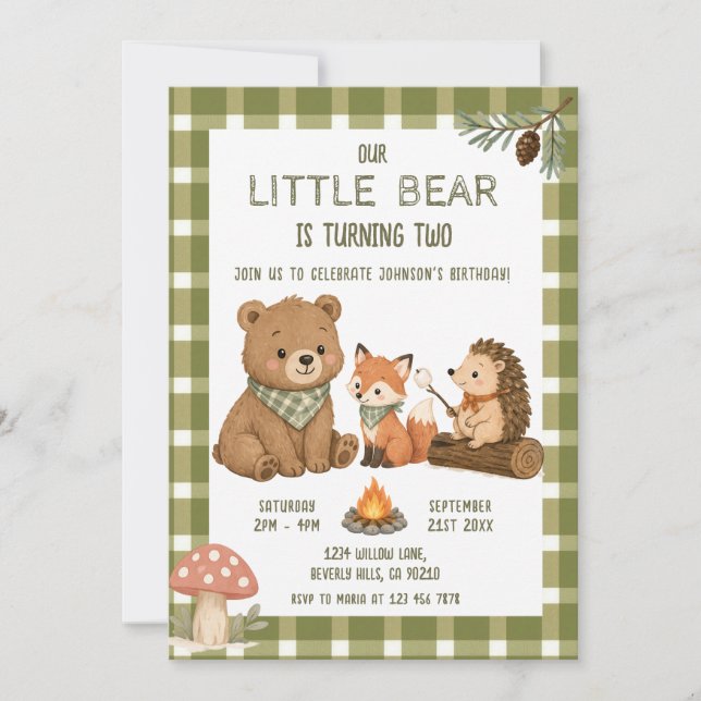 Little Bear Animals Green Gingham Birthday  Invitation (Front)