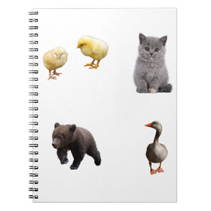 Little Bear Toddler , Cute Animal Friends Notebook
