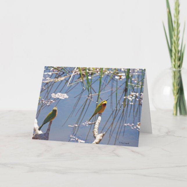 Little Bee Eater Card (Front)
