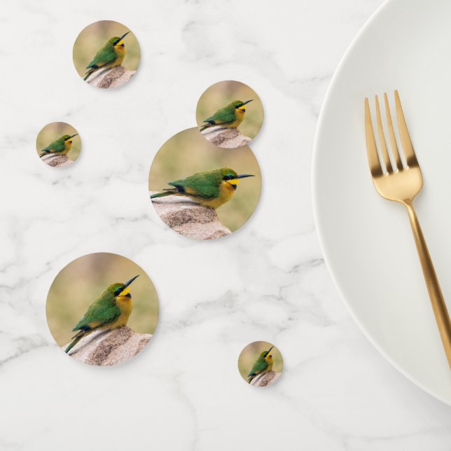 Little Bee-Eater Confetti (Group)