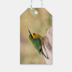 Little Bee-Eater Gift Tags