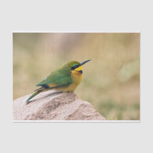 Little Bee-Eater Tissue Paper (Front)