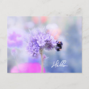Little Bee  Postcard