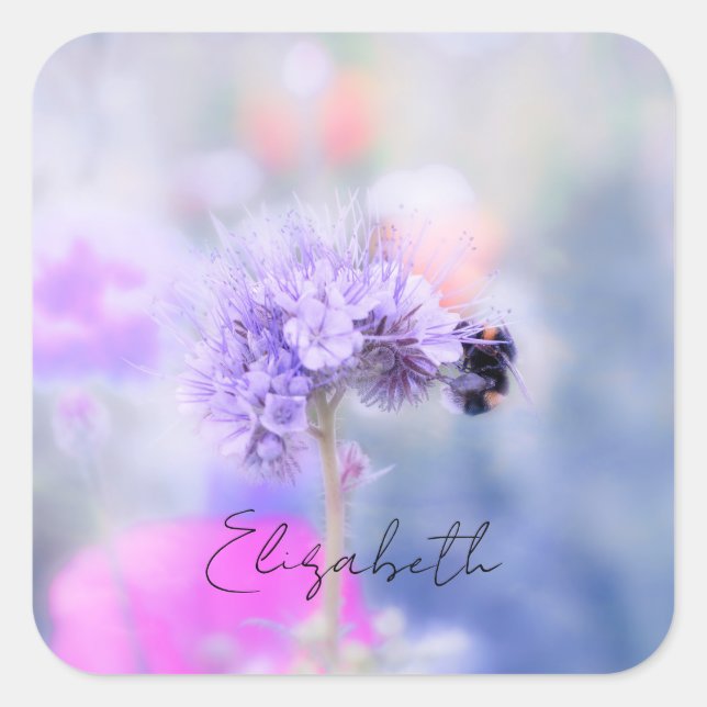 Little Bee Sticker (Front)