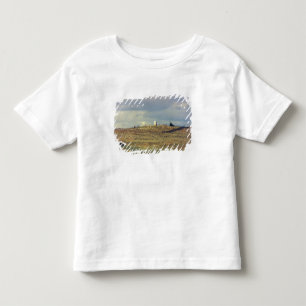 Little Bighorn Battlefield National Monument (phot Toddler T-Shirt