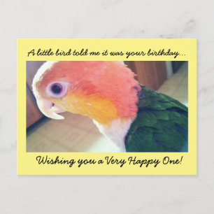 Little Bird Birthday Postcard