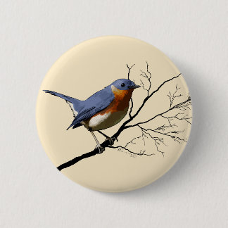 Little Bird Blue, pin