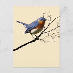 Little Bird Blue, Postcard