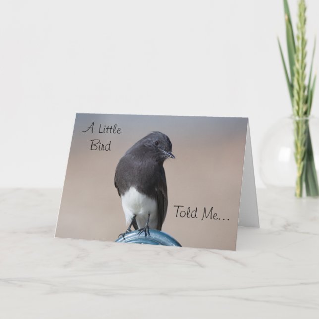 Little Bird Happy Birthday Card (Front)