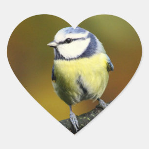 Little Bird Heart Sticker