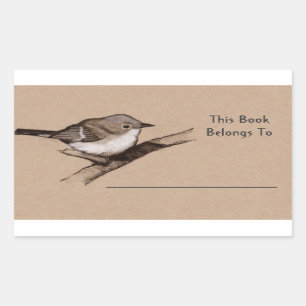 Little Bird in Charcoal: Book Plate: Wildlife Art Rectangular Sticker