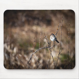 Little Bird Mouse Mat