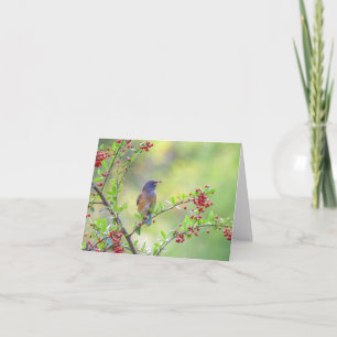 Little Bird Sitting on Red Berries Branches Holiday Card