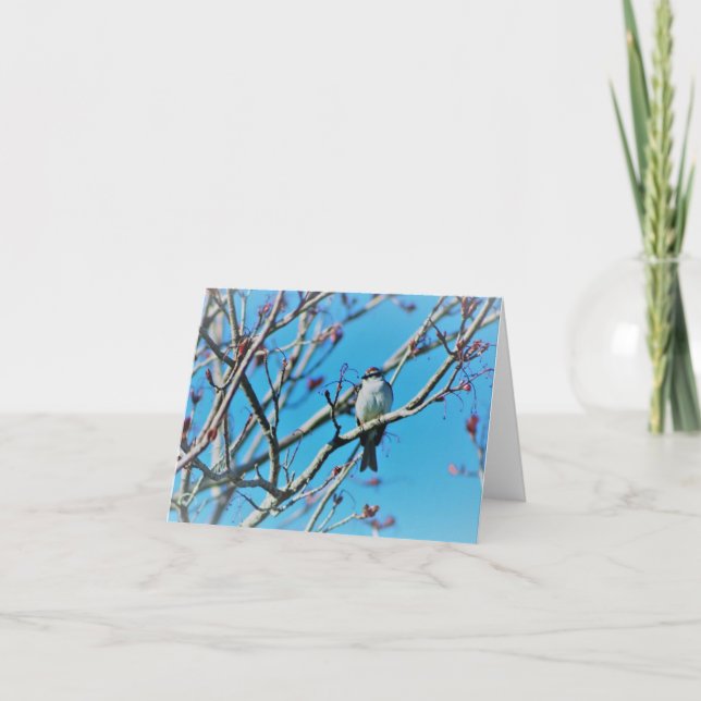 Little Birdie on Tree Branches in the Spring Holiday Card (Front)