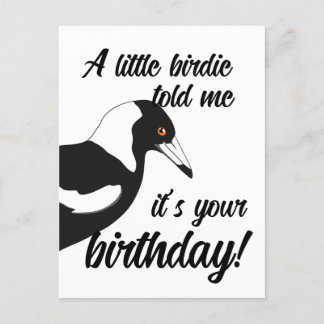 Little birdie told me it's your birthday postcard