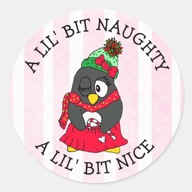 Little Bit Naughty, Little Bit Nice Funny Penguin Classic Round Sticker (Front)