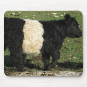Little Black Beltie Calf Mouse Mat