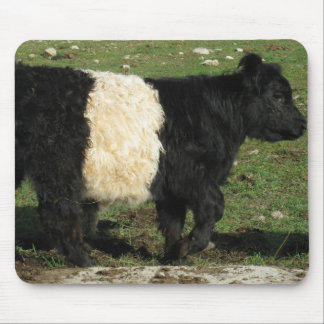 Little Black Beltie Calf Mouse Mat