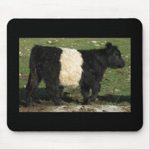 Little Black Beltie Calf Mouse Mat