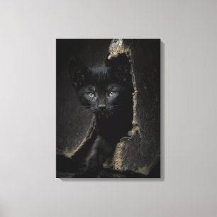 Little Black Kitty Canvas Print
