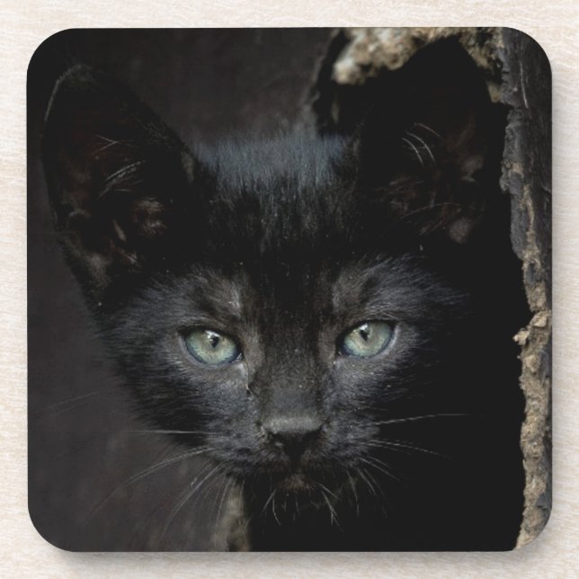 Little Black Kitty Coaster (Front)
