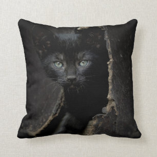 Little Black Kitty Cushion