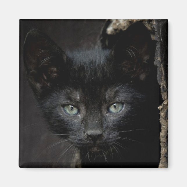 Little Black Kitty Magnet (Front)