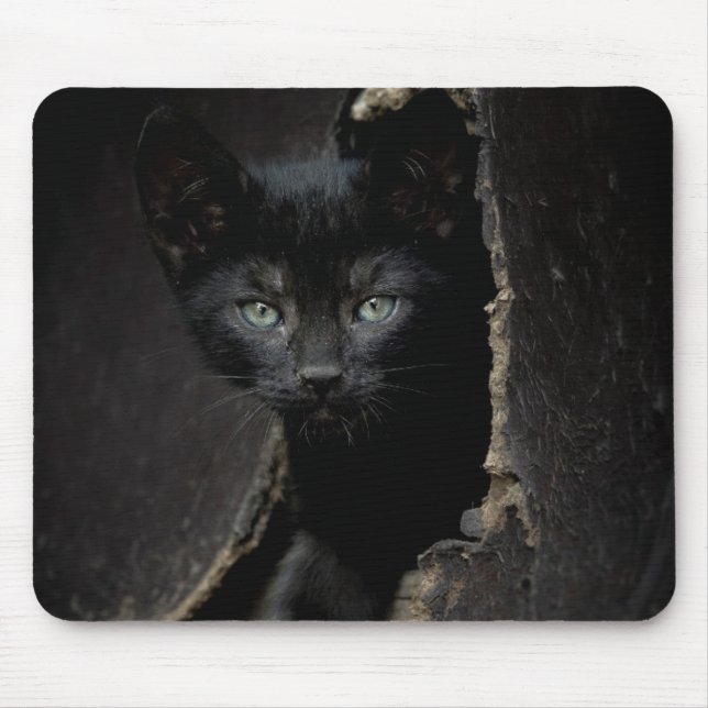 Little Black Kitty Mouse Mat (Front)