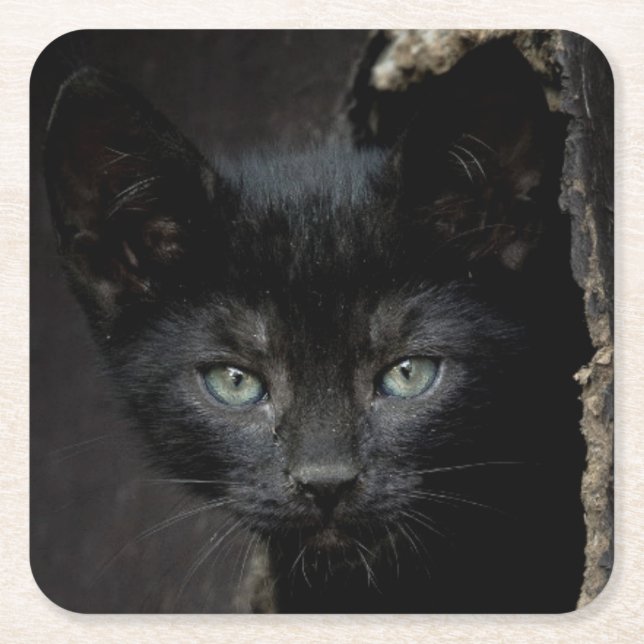 Little Black Kitty Square Paper Coaster (Front)