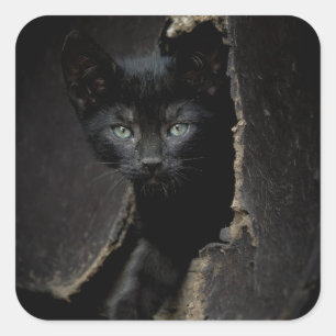 Little Black Kitty Square Sticker