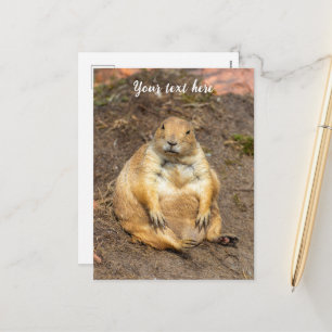 Little Black-Tailed Prairie Dog Holiday Postcard