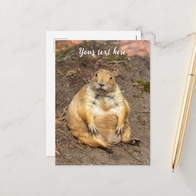 Little Black-Tailed Prairie Dog Holiday Postcard (Front/Back In Situ)