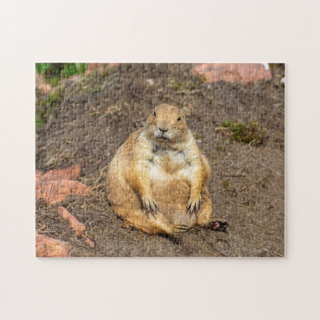 Little Black-Tailed Prairie Dog Jigsaw puzzle (Horizontal)