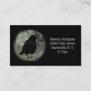 Little Blackbird Business Card