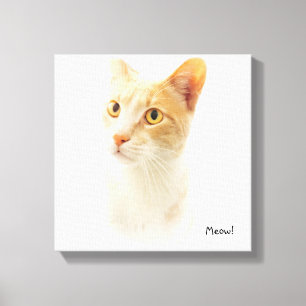 Little Blondie Cat Wondering Canvas Print