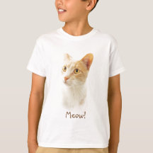 Little Blondie Cat Wondering