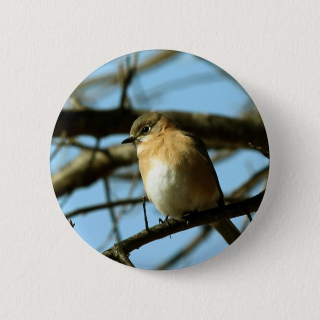 Little Blue 6 Cm Round Badge (Front)