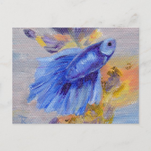 Little Blue Betta Fish Postcard (Front)