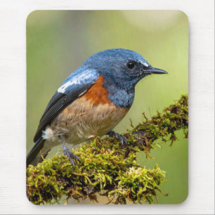 Little blue bird mouse mat