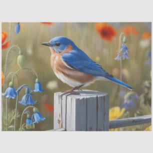 Little Blue Bird Tissue Paper