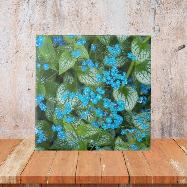 Little Blue Brunnera Flowers Floral Tile (In Situ)