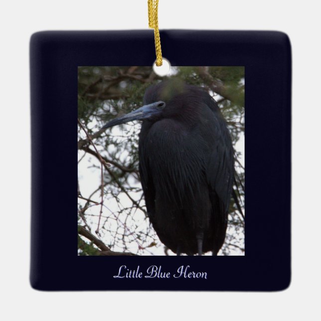 Little Blue Heron Bird Ornament  (Front)