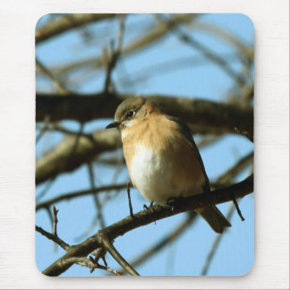 Little Blue Mouse Mat
