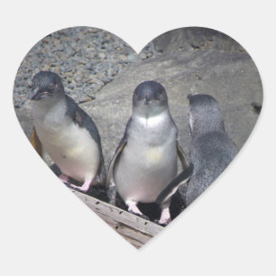 Little Blue Penguins Heart Sticker