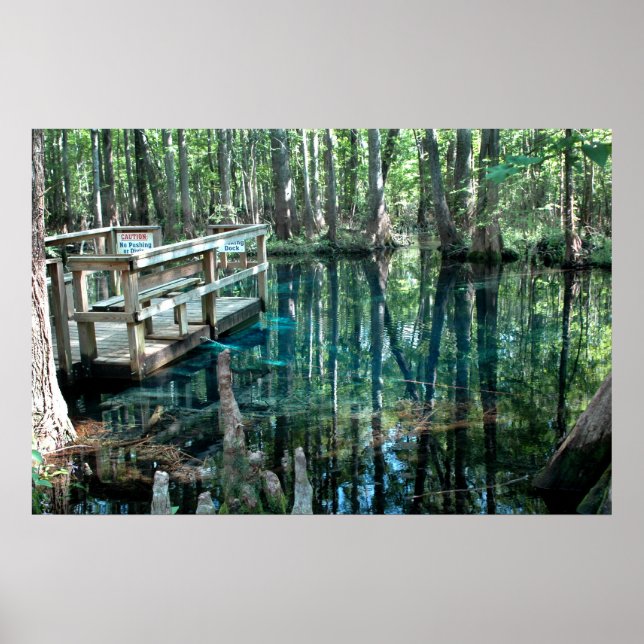 Little Blue Spring Pool Print (Front)