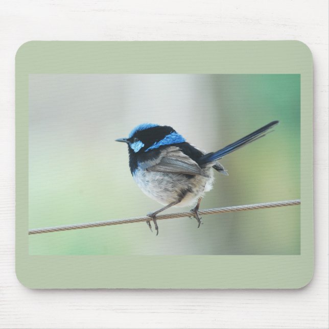 Little Blue Wren (Superb fairywren) Australia Mouse Mat (Front)