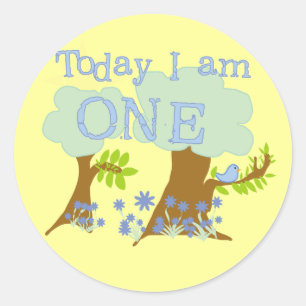 Little Bluebird 1st Birthday Tshirts and Gifts Classic Round Sticker